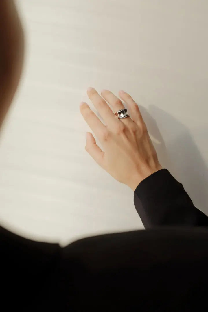 Ring Optimistic LisaConcept
