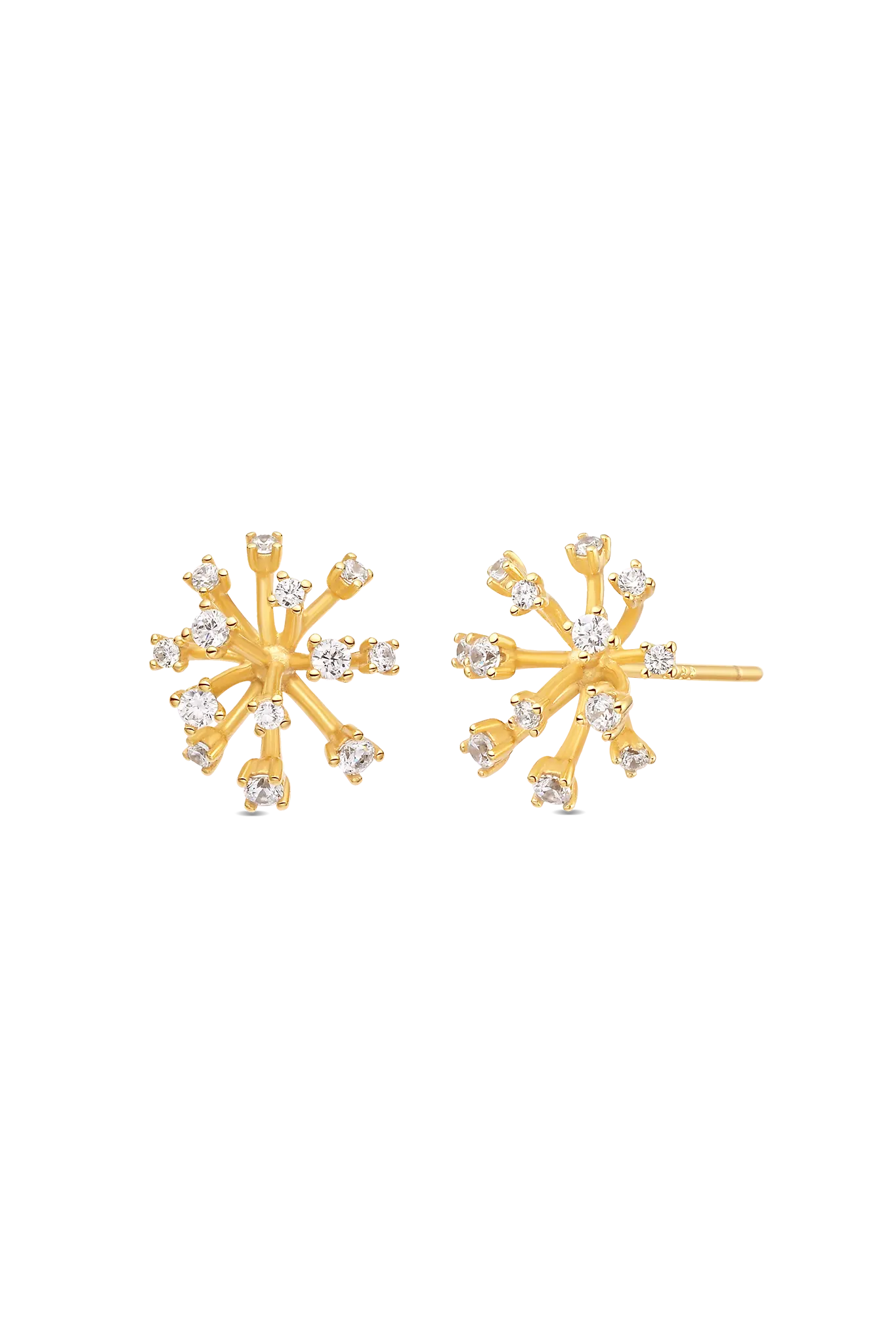 Cercei Argint Fiore Lisa&Co.